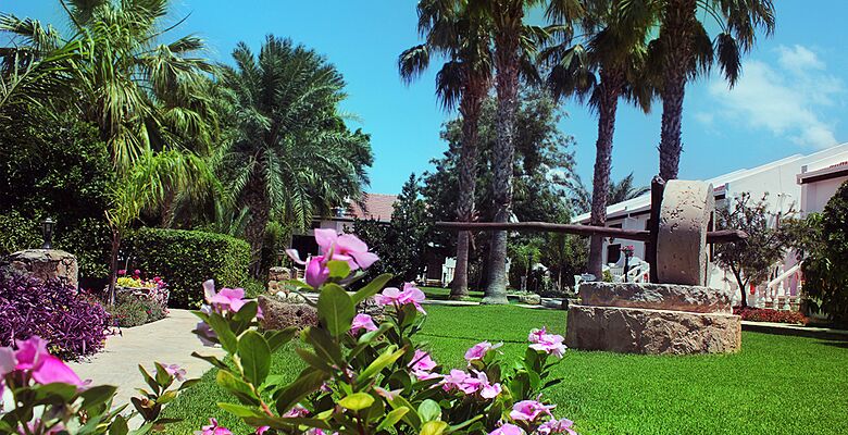 Almond Holiday Village