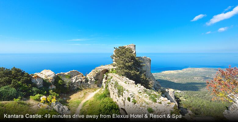 Elexus Hotel & Resort & Spa