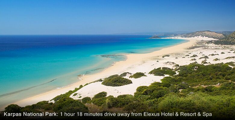 Elexus Hotel & Resort & Spa