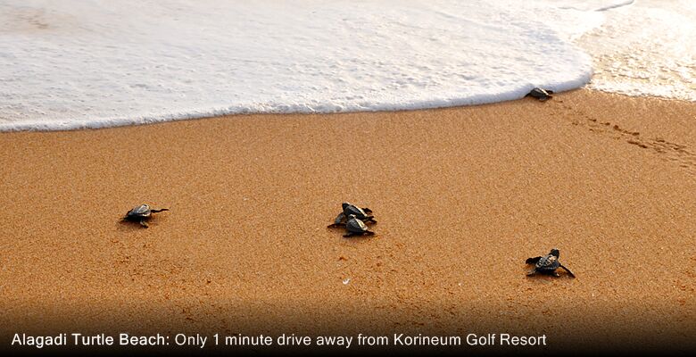 Korineum Golf Resort Hotel