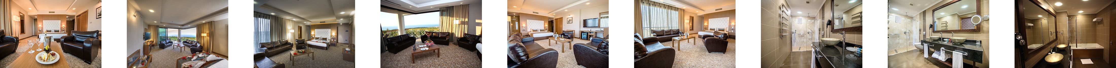 Elite Junior Suite Room