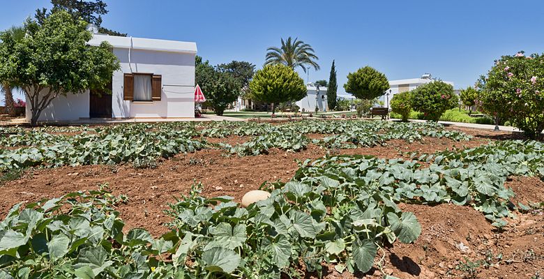 Villa Lembos Hotel Karpas