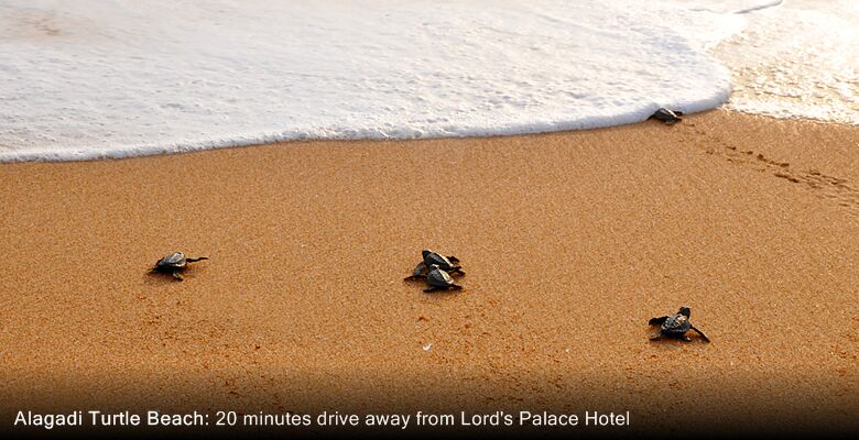 Lord's Palace Hotel