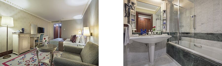 Standard Hotel Room
