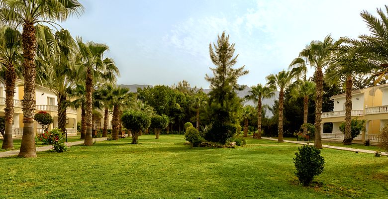 Mountain View Hotel