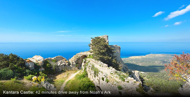 Noah's Ark Deluxe Hotel & Spa