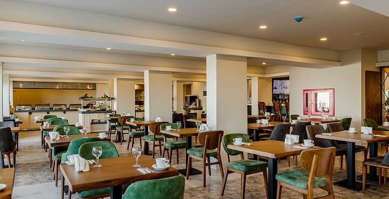 Olivia Palm Hotel