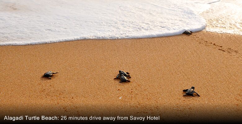 Savoy Ottoman Palace Hotel