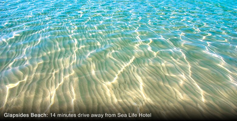 Sea Life Hotel
