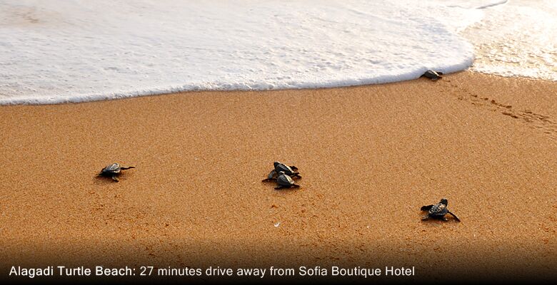 Sofia Boutique Hotel