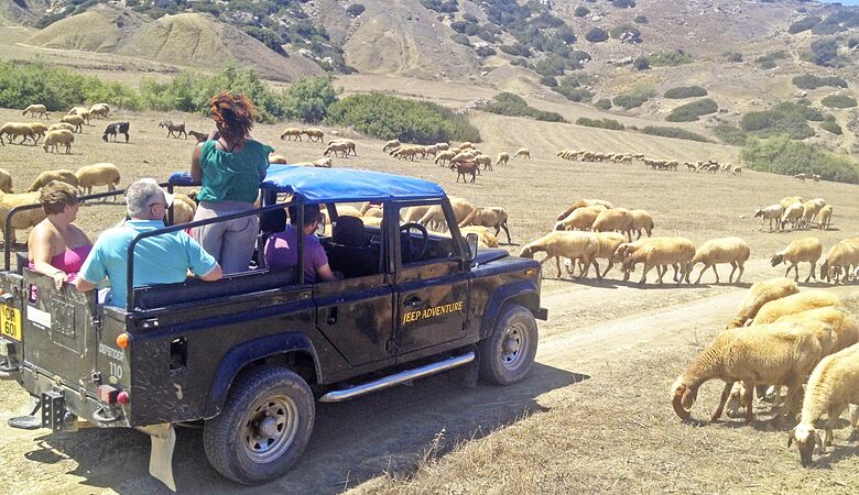safari tours cyprus