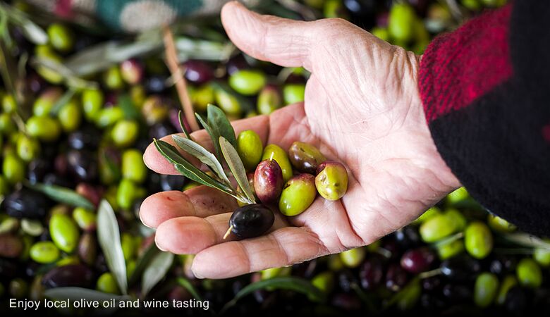 Enjoy local olive oil and wine tasting